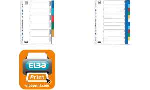 Oxford Kunststoff-Register, blanko, farbig, A4, 12-teilig (61172102)
