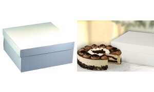 PAPSTAR Torten-Karton mit Deckel, M aße: 300 x 300 x 100 mm (6418856)