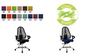 Topstar Bürodrehstuhl Sitness 15, apfelgrün (70570103)