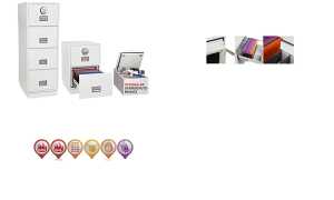 phoenix Datenschutz-Einsatz FSDPI08 , für FS2230 + FS2250 (71300336)