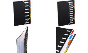 extendos Pultordner, DIN A4, 1-12, 12 Fächer, schwarz (83000106)