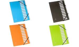 extendos Ordnungsmappe Flashy Ser ie 122, 12 Fächer, grün (83000111)