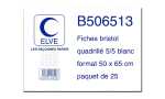 ELVE Karteikarten, 500 x 650 mm, ka riert, weiB (83500062)