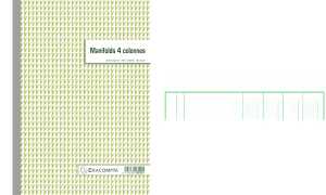 Exacompta EXACOMPTA Formularbuch 4 Spalten, 2 97 x 210 mm