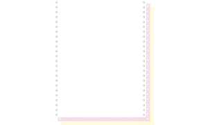 EXACOMPTA Computerpapier endlos, 24 0 mm x 12 (30,48 cm) (8700730)