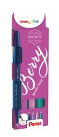 Pentel Kalligrafiestift Brush Sign Pen Set