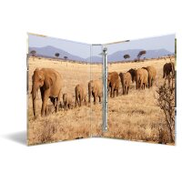 Herma RINGBUCH A4 KARTON 4D AFRIKA TIERE