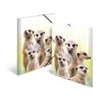 Herma Sammelmappe Eckspanner PP A3 Erdmännchentruppe