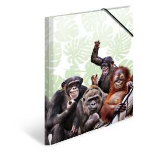 Herma Sammelmappe Eckspanner PP A4 Affenbande