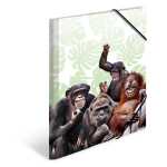 Herma Sammelmappe Eckspanner PP A3 Affenbande