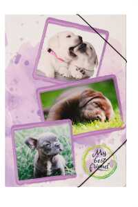 Pagna Gummizugmappe A3 PP Welpen 3 Einschlagklappen