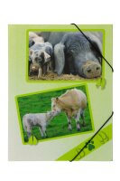 Pagna Gummizugmappe A4 PP Bauernhof- tiere 3...