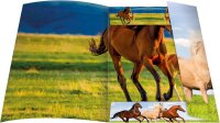 RNK Tierische Zeichenmappen A3, 310x440mm, Free Horses