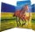 RNK Tierische Zeichenmappen A3, 310x440mm, Free Horses