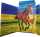 RNK Zeichenmappe Free Horses A3 Gummizug 310x440mm