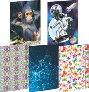 RNK Sammelmappe Sortierung 12St bis DIN A4 Axolotl u. w.