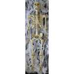 Amscan Hängedekoration 194099013345