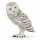 Papo SAS Papo Figur 6,5cm Schnee Eule, ab 3 Jahren