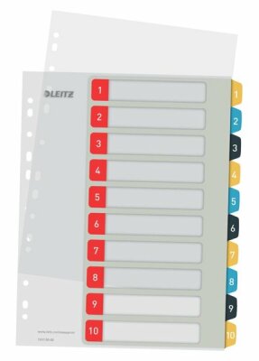 LEITZ Plastikregister A4