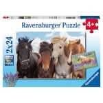 Ravensburger Puzzle 4005556051489