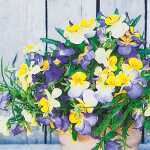 Serviette 25x25cm Pansy Mix, 3-lagig, 20 Stück, Home...