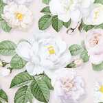 Motivserviette 33x33cm Rosen HOME F. 212124