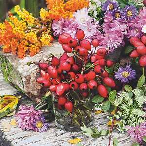 Serviette 33x33cm Rosehip, 3-lagig, 20 Stück, Home Fashion