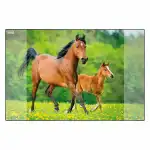 Schreibunterlage Idena PP Pferde, 58,5x38,5cm
