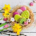 Serviette 33x33cm JET PAPIER 4103070023736