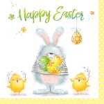 Serviette 33x33cm JET PAPIER 4103070054150