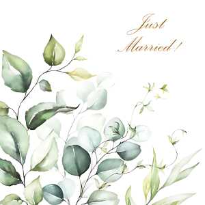 Serviette 33x33cm JET PAPIER 4103070054488