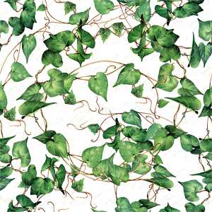 Serviette 24x24cm Green Ivy Branches, 3-lagig, 20 Stück, ti-flair