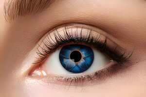 Natürliche Jahreslinse 4250428862674