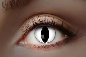 Farbige UV-Jahreslinse 4250428863596