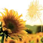 Motivserviette 33x33cm Herbst PAPER+DESIGN 195222 3lag