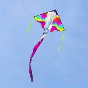 Ecoline: Simple Flyer Pegasus 120 cm