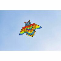 Jazzy Owl Kite