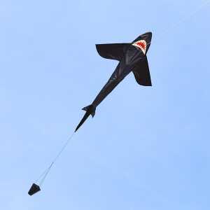 Ecoline: Shark Kite 5