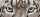 DIAMOND DOTZ 42x18cm Snow Leopard Spy, zum Kreieren von Motiven