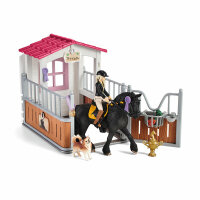 Schleich Horse Club  Pferdebox mit Tori und, Princess