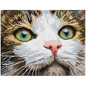 DIAMOND DOTZ Green Eyed Beauty, 28,9x36,7cm, mit Rahmen,