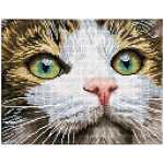 DIAMOND DOTZ Green Eyed Beauty, 28,9x36,7cm, mit Rahmen,