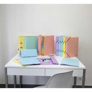 Exacompta Archivbox CL R40 Aquarel 5sort