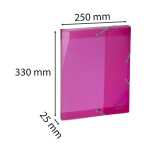 Exacompta Archivbox Iderama PP R25mm rosa