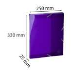 Archivbox Iderama PP R25mm violett
