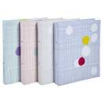 Exacompta Ringbuch 2R 30mm A4 Zephir 4sort