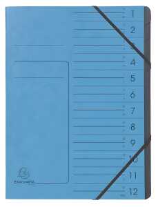 Exacompta Ordnungsm A4 12T CleanSafe blau