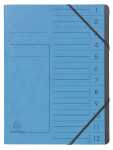 Exacompta Ordnungsm A4 12T CleanSafe blau
