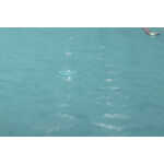 Exacompta Ordnungsm Colorsp 12F 1928 tropical