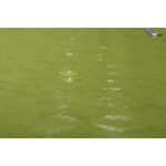 Exacompta Ordnungsm Colorsp 12F 1928 anisgrün